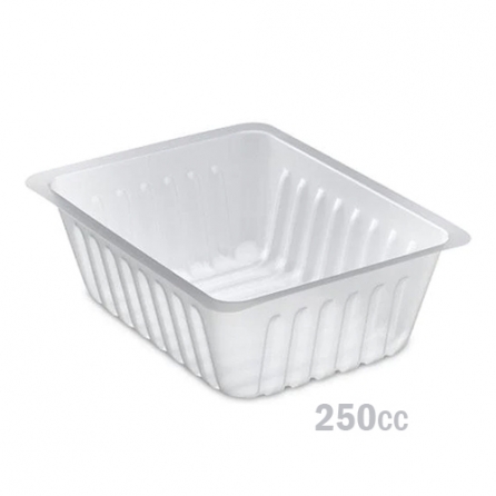 Barquettes à frites...